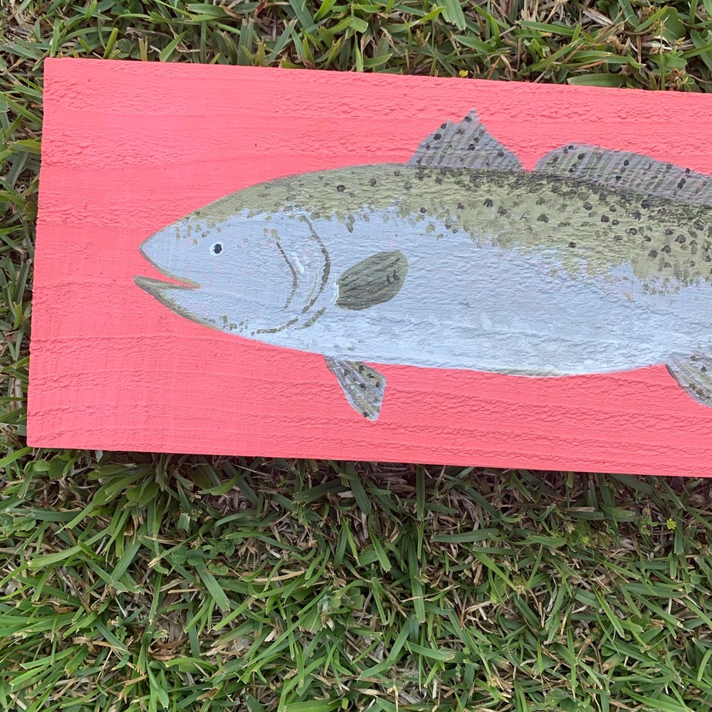 🐠 Handpainted Trout Wall Art